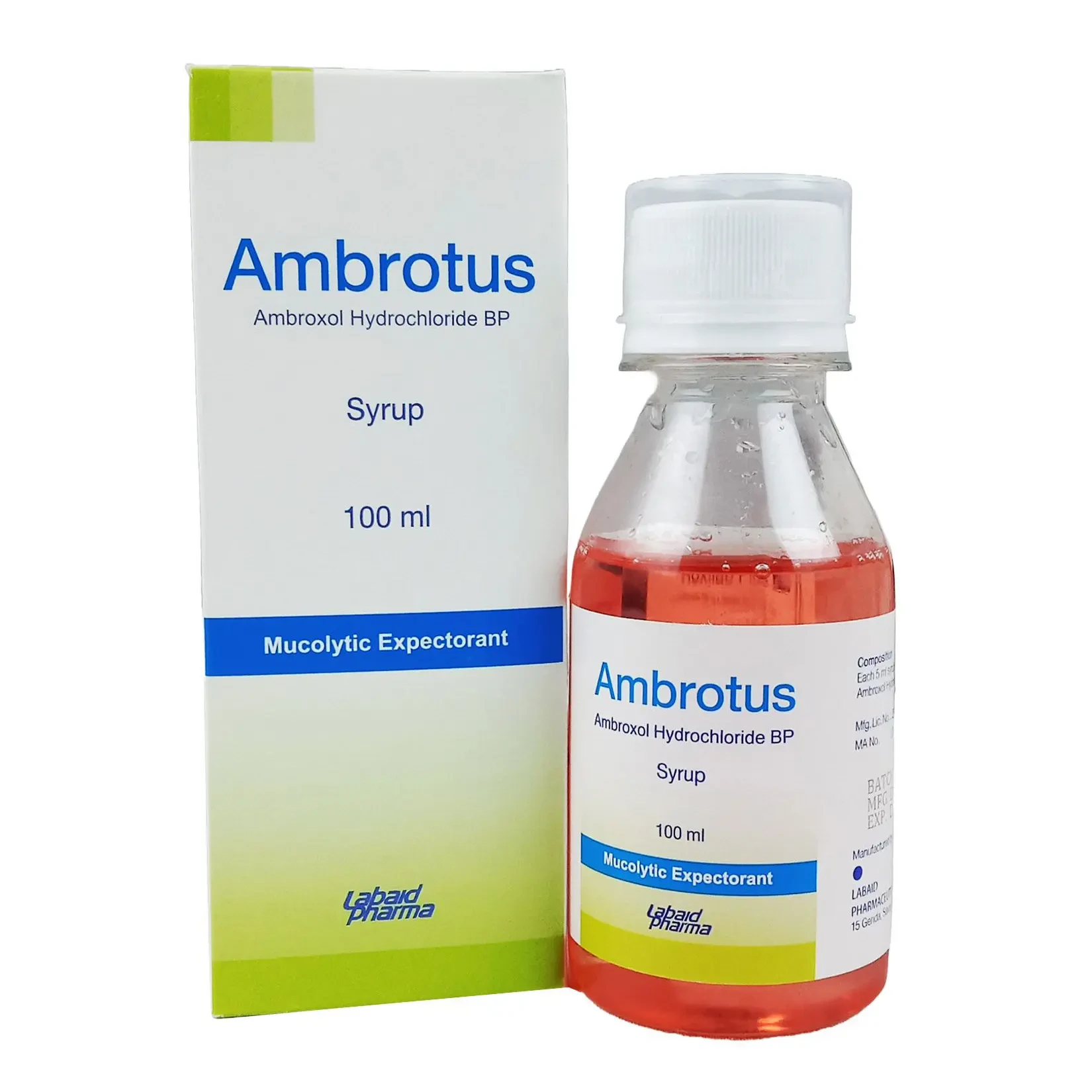 Ambrotus Ambrotus