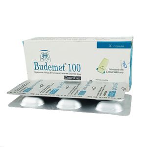 Budemet Budemet