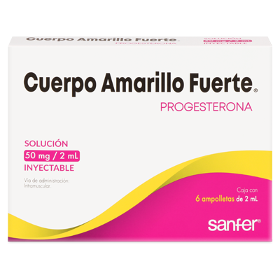 Cuerpo Amarillo Fuerte Cuerpo Amarillo Fuerte