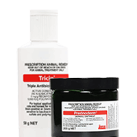 Derma Derma