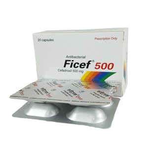 Ficef Ficef