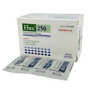 Flux Flux