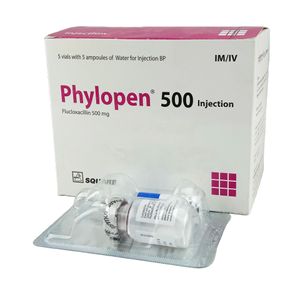 Phylopen 500 mg/vial IM/IV Injection