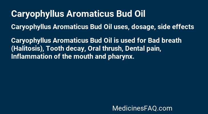 Caryophyllus Aromaticus Bud Oil