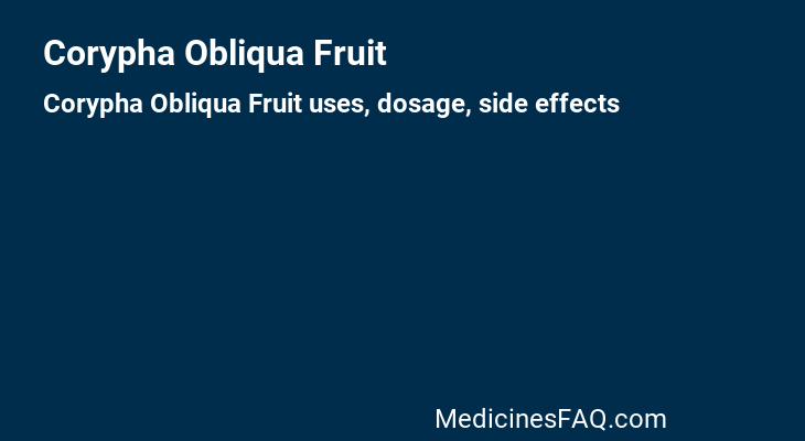 Corypha Obliqua Fruit
