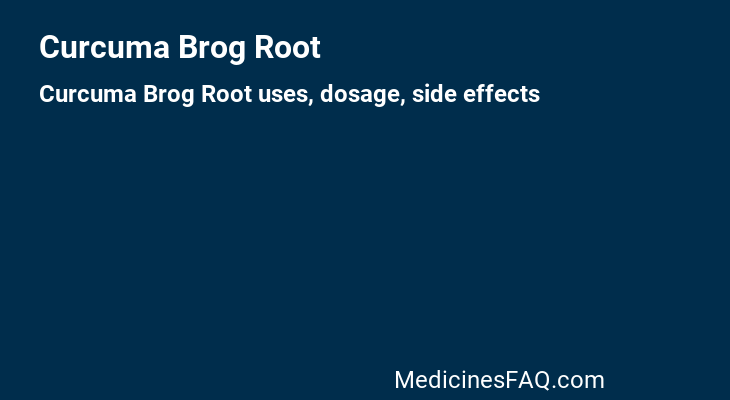 Curcuma Brog Root