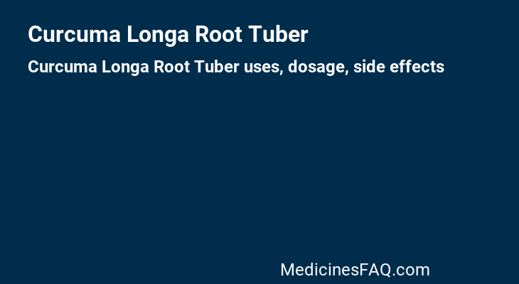 Curcuma Longa Root Tuber