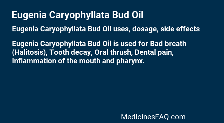 Eugenia Caryophyllata Bud Oil
