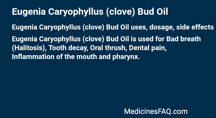 Eugenia Caryophyllus (clove) Bud Oil