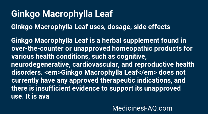 Ginkgo Macrophylla Leaf