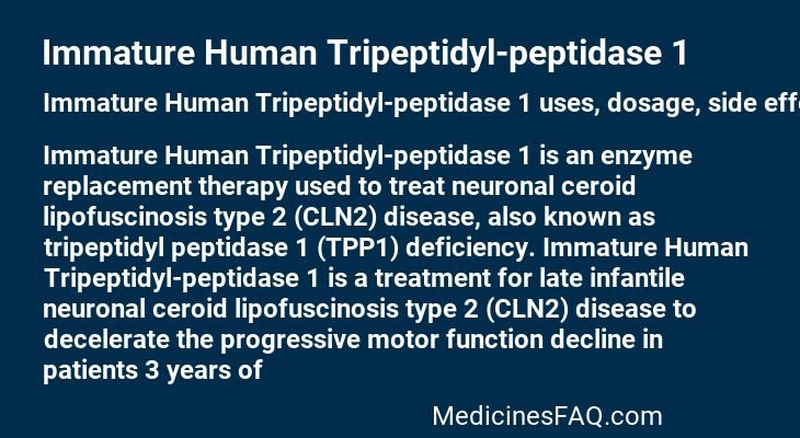 Immature Human Tripeptidyl-peptidase 1