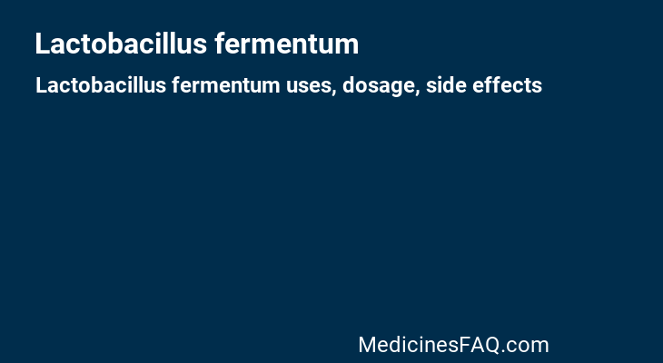 Lactobacillus fermentum