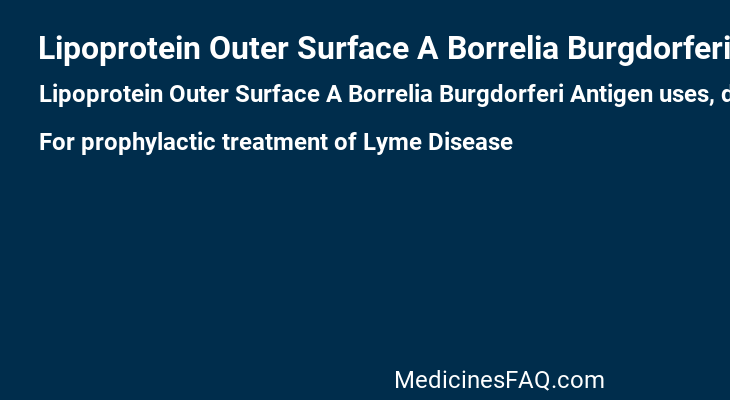 Lipoprotein Outer Surface A Borrelia Burgdorferi Antigen