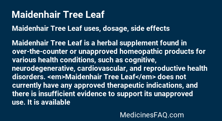Maidenhair Tree Leaf