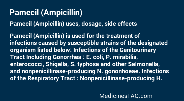 Pamecil (Ampicillin)