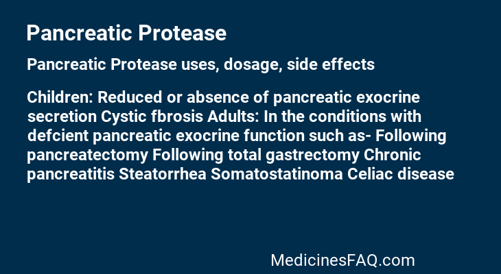 Pancreatic Protease