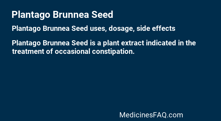 Plantago Brunnea Seed
