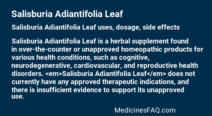 Salisburia Adiantifolia Leaf