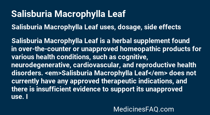 Salisburia Macrophylla Leaf