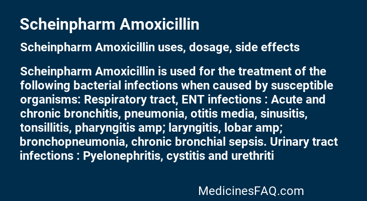 Scheinpharm Amoxicillin