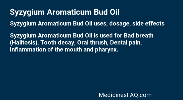 Syzygium Aromaticum Bud Oil