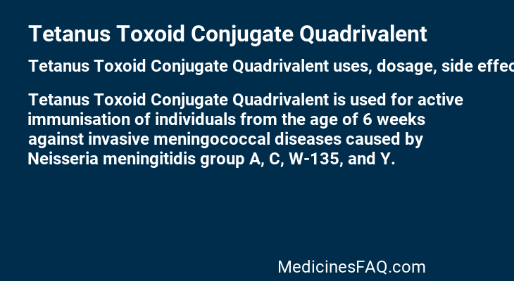 Tetanus Toxoid Conjugate Quadrivalent