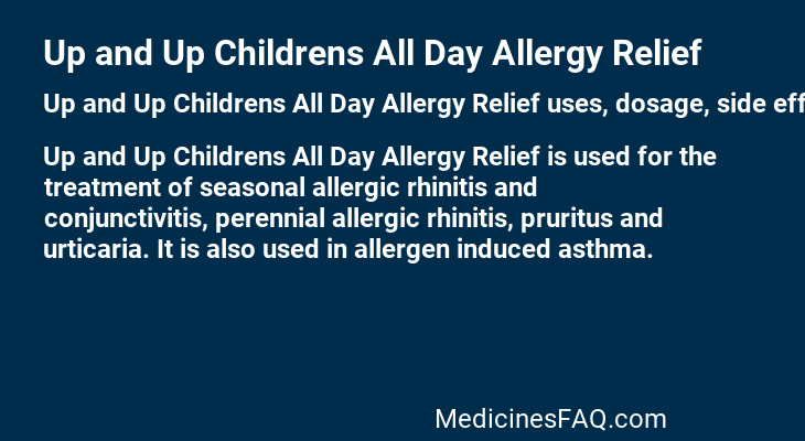 Up and Up Childrens All Day Allergy Relief