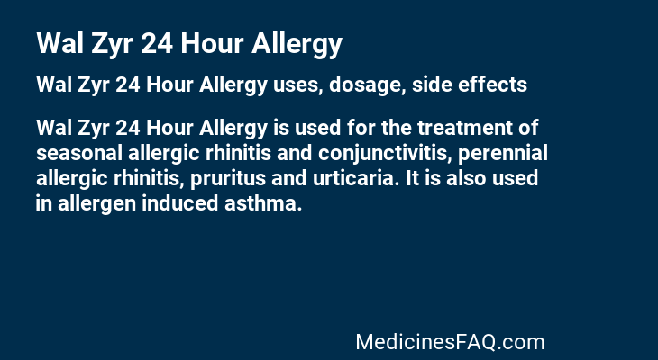 Wal Zyr 24 Hour Allergy
