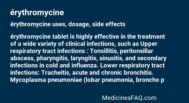 érythromycine